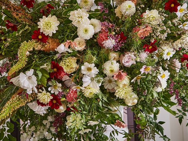 close up image of a large arragement of flowers in an assortment of colours and varieties