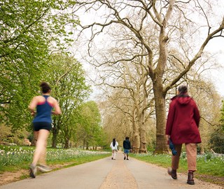 View of path in Hyde Park surrounded by trees and flowers. Runners and passers by can be seen making their way through the park.